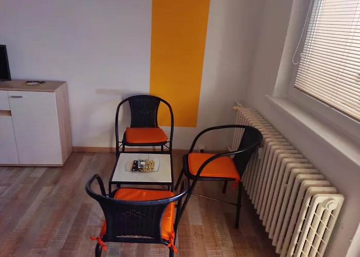 - U Papirny Appartement Velké Losiny